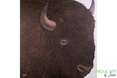 bison-painting-jamie-luttrell-nebraska